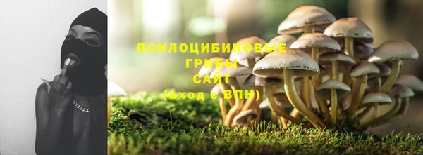 стафф Зеленокумск