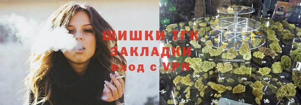 стафф Зеленокумск