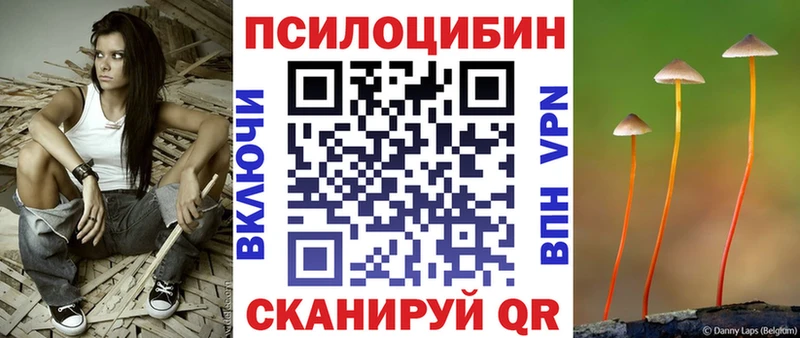 Купить закладки  Волоколамск  Галлюциногенные грибы MAGIC MUSHROOMS 
